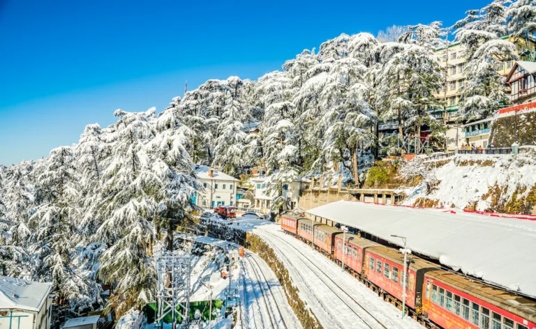 Shimla, often called the Queen of Hills, has been the go-to hill station for generations of travelers